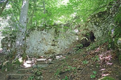 Blick auf eine graue, löchrige Felswand am oberen Ende eines Waldhanges. Die Felswand knickt rechts etwas vor, dort öffnet sich eine Höhle. Rechts unten sind Treppenstufen zu erkennen.