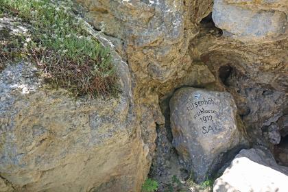 Durch Lösungsverwitterung gerundeter Kalkstein mit Bewuchs von Weißer Fetthenne (Sedum album) im Eingangsbereich der Mühlheimer Felsenhöhle Nahaufnahme von bräunlich grauen Gesteinskörpern. Links ist einer der Brocken bewachsen. Rechts unten liegt einer kleinerer, gerundeter Stein, grau mit Inschrift.