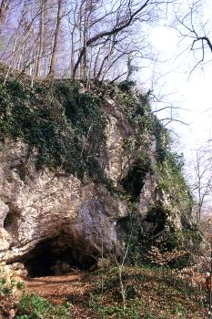 Eiszeithöhlen und Felsen am Osthang des Ölbergs bei Ehrenkirchen-Ehrenstetten Blick auf einen teils stark überwucherten Felshang, der nach rechts hin endet. Links unten, am Fuß des Felshanges, öffnet sich eine bogenförmige Höhle.