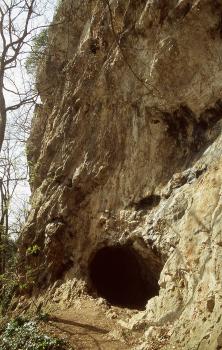 Eiszeithöhlen und Felsen am Osthang des Ölbergs bei Ehrenkirchen-Ehrenstetten Blick auf einen hoch aufragenden Felshang mit Höhlenöffnung am rechten unteren Ende.