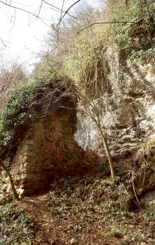 Reste der Burg Hauenfels vor den Felsen am Osthang des Ölbergs bei Ehrenkirchen-Ehrenstetten Das Bild zeigt einen stark bewachsenen Felshang, der nach rechts hin ansteigt. Links vorne steht ein alter Mauerrest, dessen Krone ebenfalls stark von Pflanzen überwuchert ist.