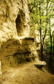 Sog. Heidenlöcher im Molassesandstein bei Stockach-Zizenhausen Seitlicher Blick auf eine hohe, gelblich bis bräunlich graue Felswand. Oberhalb der Bildmitte ist eine ovale Öffnung im Fels erkennbar. Rechts ragen schlanke Bäume neben der Felswand auf.