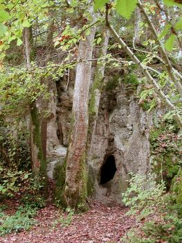 Zwischen hohen Bäumen fast versteckt, ist hier ein kleinerer, verwachsener Felsenkopf zu sehen. Am Fuß des Felsens öffnet sich eine schmale Höhlenspalte.