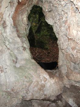 Kalktuffhöhle Stühlingen – Blick durch den Eingang ins Freie Blick aus dem Inneren einer Höhle mit hellem Kalktuff durch den schmalen Eingang ins Freie.