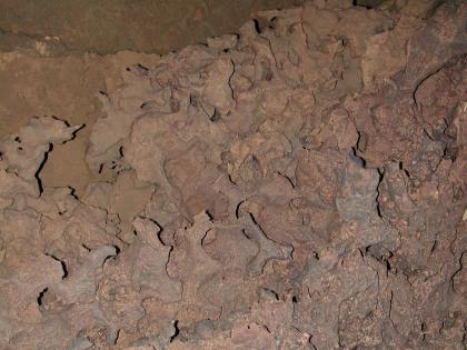Bizarre Karstformen im Oberen Muschelkalk in der Tschamberhöhle bei Rheinfelden Teilansicht von dünnplattigen, Muster bildenden Karstformen in einer Höhle. Die dünnen Platten sind braun bis graubraun.
