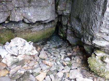 Abfluss des Karstwassers aus einer Felsspalte am Schmiech-Ursprung bei Schelklingen-Gundershofen Blick auf eine schmale Felsspalte. Ein schmaler Bach fließt daraus über stark steinigen Untergrund auf den Betrachter zu.