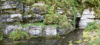 Schmiech-Ursprung am Ortsausgang von Springen nordwestlich von Schelklingen-Gundershofen Unter einer stark bewachsenen, nach rechts abfallenden Böschung stehen graublaue Felsen an, in denen sich rechts eine kleinere Höhle gebildet hat. Ein schmaler Bach fließt daraus und über dunklem Grund auf den Betrachter zu.