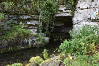 Schmiech-Ursprung am Ortsausgang von Springen nordwestlich von Schelklingen-Gundershofen Unter einer stark bewachsenen Böschung stehen graublaue Felsen an, zwischen denen sich rechts eine kleinere Höhle gebildet hat. Ein schmaler Bach fließt daraus und über dunklem Grund auf den Betrachter zu.