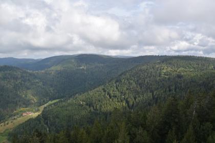 In nördliche Richtung blickt man vom Buchkopfturm über die Höhen des Grindenschwarzwalds. Rechts sieht man den Rossbühl, im Hintergrund ist das Hotel auf dem Schliffkopf zu erkennen. Blick aus großer Höhe auf einen nach rechts aufsteigenden bewaldeten Bergrücken. Links unten liegt ein schmales, baumloses Tal mit ein paar Häusern. Dahinter erheben sich weitere Berge.