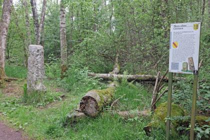 Historischer Markstein mit Infotafel an der ehemaligen Landesgrenze zwischen Württemberg und Baden im Schwenninger Moos Das Bild zeigt einen Wald mit gefällten, von Moos bewachsenen Bäumen. Ein hoher Steinblock (links im Bild) markiert die ehemalige Landesgrenze zwischen Baden und Württemberg, eine aufgestellte Tafel (rechts) gibt Erläuterungen dazu.