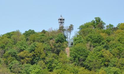Schlossbergturm Freiburg im Breisgau Das Bild zeigt einen bewaldeten Höhenzug. Zwischen den Bäumen ist die Spitze eines metallenen Aussichtsturmes zu erkennen.