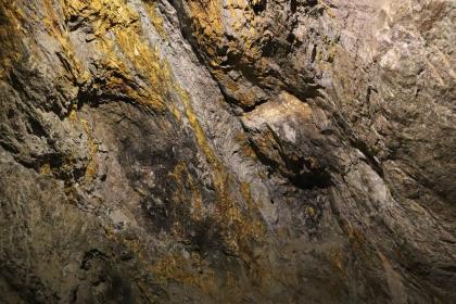 Steilstehende Störungszone („Ruschel“) an der Wand des Friedrichstollens im Silberbergwerk Teufelsgrund bei Münstertal Teilansicht einer bräunlich grauen Gesteinswand, links und oben auch mit gelblichen Stellen. Ein steiler, leicht schräg verlaufender Riss geht rechts der Mitte durch die Wand und knickt dann ab. Hier steht das Gestein knotig hervor.