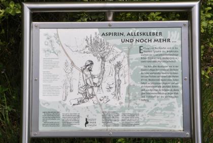 Informationstafel im Eiszeitpark Engen Das Bild zeigt eine in einen Metallrahmen eingelassene Schautafel, die über die Nutzbarkeit von Birken und Weiden für den Eiszeitmenschen erzählt.