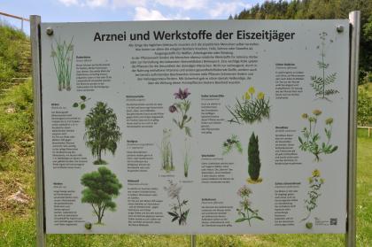 Informationstafel im Eiszeitpark Engen Das Bild zeigt eine Informationstafel, die von Arzneien und Werkstoffen der Eiszeitjäger erzählt.