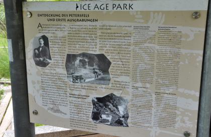 Informationstafel im Eiszeitpark Engen Schautafel des „Ice Age Park“, die von der Entdeckung des Petersfelsens sowie ersten Ausgrabungen berichtet.