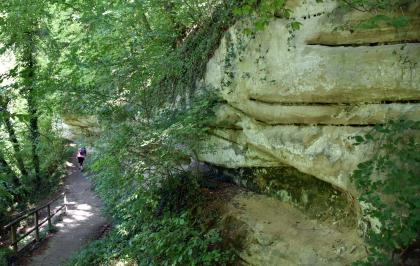 Das Bild zeigt eine rechts aufsteigende, im Bogen nach links verlaufende gelblich graue Felswand. Der Fels ist dicht bewachsen und kragt links etwas über. Links führt zudem ein abwärts verlaufender, bewaldeter Wanderweg an der Felsformation entlang.