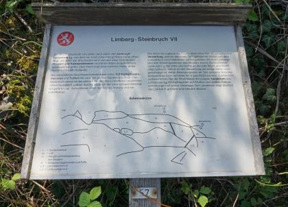 Wissenschaftlicher Lehrpfad am Limberg bei Sasbach am Kaiserstuhl – Infotafel zum Steinbruch VII Blick auf eine Schautafel mit Informationen und Schemaskizze zum Steinbruch VII am Limberg bei Sasbach. Der Steinbruch ist Station eines wissenschaftlichen Lehrpfades am Kaiserstuhl.
