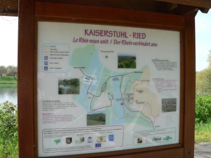 Schautafel zum Lehrpfad am Limberg bei Sasbach am Kaiserstuhl und dem nach Frankreich führenden Rheininselpfad am Parkplatz vor dem Grenzübergang nach Marckolsheim (F) Blick auf eine größere Schautafel mit Informationen zu Lage und Verlauf zweier Lehrpfade im Grenzgebiet Kaiserstuhl-Ried auf deutscher sowie französischer Seite.