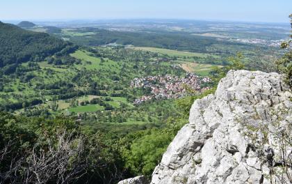 Von den Felsen aus Unterem Massenkalk im Süden des Metzinger Rossbergs hat man einen weiten Blick ins mittlere Albvorland Blick von erhöhtem Standort über eine weite Landschaft mit Feldern, Ortschaften, einem Bergkegel und Waldstücken. Vorne rechts rückt ein weißer Felsenkopf ins Bild. Nach links hin erhebt sich ein bewaldeter Bergrücken.