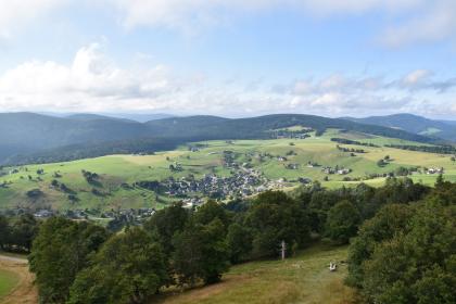 Blick vom Aussichtsturm auf dem Schauinsland über Hofsgrund nach Süden Blick von erhöhtem Standort auf eine kleine Ortschaft im Mittelgrund des Bildes. Die Siedlung liegt in einer waldfreien Hangmulde zwischen bewaldeten Bergen im Hintergrund und einem teils bewaldeten, vom Betrachter wegführenden Berghang im Vordergrund.