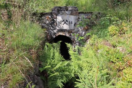 Der Stollen „Gegentrum VIII“ des Museumsbergwerks Schauinsland Blick auf einen alten gemauerten Stolleneingang. Die Böschungen links und rechts des Stollens sind stark bewachsen, der Tunneleingang von Farnen im Vordergrund fast verdeckt.
