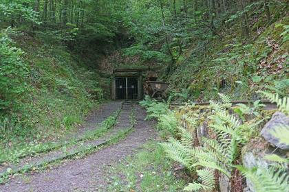 Der Wetzsteinstollen südwestlich von Spiegelberg Blick auf den vergitterten Eingang eines Bergwerkstollens. Der Stollen liegt zwischen links und rechts aufsteigenden Böschungen an einem Waldhang. Zwei Gleise führen von dort auf den Betrachter zu. Auf dem Gleis rechts steht eine Lore.