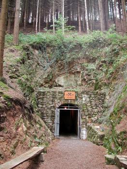 Am unteren Ende eines Felshanges öffnet sich der Eingang zu einem alten Bergwerk. Der Stolleneingang ist mit einem steinernen Torbogen umkleidet. Oberhalb des Felsens steht Wald.