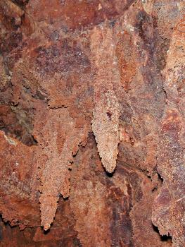 Große Tropfsteine aus Eisenocker in der Grube Segen Gottes bei Haslach im Kinzigtal Von der Decke eines alten Bergwerksstollens hänge rötlich braune, verkrustete Tropfsteine herunter.