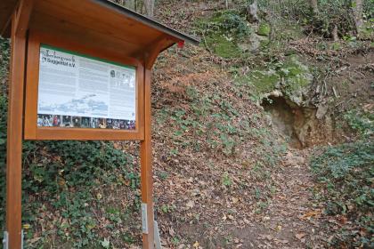 St. Anna-Stollen mit Schautafel des Vereins Silberbergwerk e. V. an der Grube Erich bei Waldkirch-Suggental Blick auf einen steilen Waldhang mit einer großen überdachten Informationstafel links sowie einer kleinen Stollenöffnung rechts auf halber Höhe des Bildes.