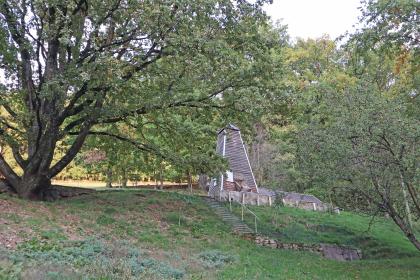 Silberbergwerk Grube Erich bei Waldkirch-Suggental – alte Halde unterhalb des Förderturms Blick auf hügeliges, zum Vordergrund hin abfallendes Gelände mit teils knorrigen Bäumen. Rechts ist am Hang eine Treppe und stützendes Mauerwerk zu erkennen. Auf der Hangkuppe steht ein hölzerner Förderturm.
