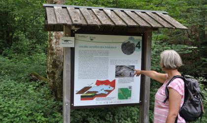 Informationstafel am Geologischen Lehrpfad im Kirnbachtal Das Foto zeigt eine bebilderte und überdachte Schautafel im Naturpark Schönbuch. Eine Besucherin rechts weist auf das Bild einer Störungszone hin.