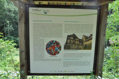 Informationstafel am Geologischen Lehrpfad im Kirnbachtal Blick auf eine bebilderte Schautafel im Naturpark Schönbuch. Thema: Sandstein als Bau- und Mühlstein. Als Beispiel dient das Kloster Bebenhausen.