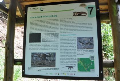 Informationstafel am Geologischen Lehrpfad im Kirnbachtal Das Foto zeigt eine bebilderte Schautafel im Naturpark Schönbuch. Thema: Dinosaurierarten, die in Süddeutschland lebten.