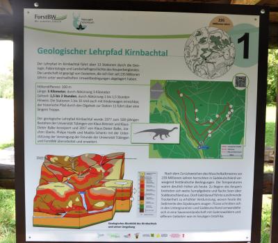 Informationstafel am Geologischen Lehrpfad im Kirnbachtal Blick auf eine bebilderte Schautafel im Naturpark Schönbuch, die unter anderem den Verlauf des Geologischen Lehrpfades im Kirnbachtal zeigt.