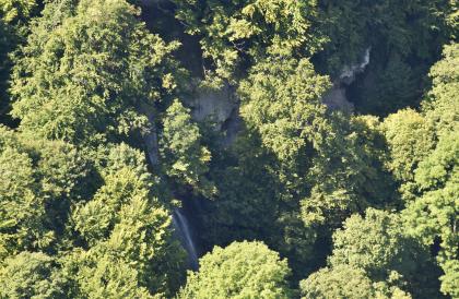 Vom Eppenzillfelsen sieht man in den Talschluss des Brühlbachtals mit dem Uracher Wasserfall Zwischen dicht stehenden, hohen Bäumen ist in der Bildmitte ein Gesteinsaufschluss sowie links davon ein schmaler, hoher Wasserfall erkennbar.
