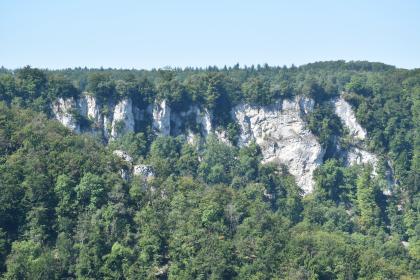 Der gegenüber vom Eppenzillfelsen gelegene Rutschenfelsen ist wie dieser im Oberen Massenkalk ausgebildet und ist auch ein guter Aussichtspunkt. Blick auf einen dicht bewaldeten, oben waagerecht verlaufenden Berg. Zwischen den Bäumen sind mehrere weißliche Felstürme und Felswände erkennbar, die nach rechts hin größer werden.