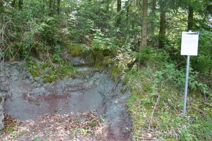Geologischer Pfad Gaildorf – Station Oberer Kieselsandstein (Hassberge-Formation) Das Bild zeigt links der Mitte einen violettgrauen Gesteinsaufschluss. Die Kuppe ist von Sträuchern bedeckt, die rechte Seite begrenzt dichter Wald. Rechts steht zudem eine Infotafel.