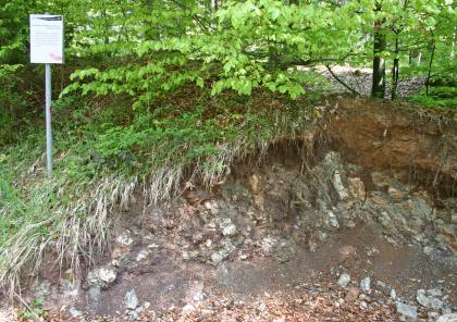 Geologischer Pfad Gaildorf – Station Rotbraune Tonsteine im mittleren Kieselsandstein (Hassberge-Formation) Blick auf einen violettgrauen, sehr steinigen Geländeaufschluss. Der Aufschluss ist links von Sträuchern, rechts von rötlich braunem Bodenrelief überdeckt. Im Hintergrund stehen Bäume, links zudem eine Infotafel.