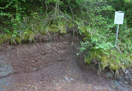 Geologischer Pfad Gaildorf – Station Rote Wand (Steigerwald-Formation bzw. Untere Bunte Mergel) Blick auf eine rötlich graue Gesteinswand. Links verläuft der Aufschluss gerade bis zur Mitte, rechts davon führt er in einem abwärts geschwungenen Bogen weiter. Die Kuppe des Gesteins ist mit Sträuchern überdeckt. Rechts steht zudem eine Infotafel.