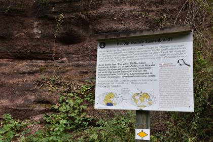 Station am Geologischen Pfad – Aufschluss in den Rotliegend-Sedimenten Blick auf eine rötlich graue, teilweise mit Pflanzen überdeckte Gesteinswand. Im Vordergrund rechts steht eine Schautafel mit Informationen zum Gestein.