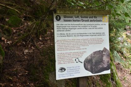 Station 7 des Geologischen Pfads am Schramberger Schlossberg – Verwitterung im Triberger Granit Blick auf eine kleine Schautafel mit Bild und Text zum Thema Verwitterung. Die Tafel steht an einem felsigen Waldhang neben bemoostem Gestein.