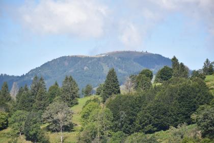 Ausblick von oberhalb Tunau zum Belchen Im Vordergrund dieses Bildes befindet sich ein nach rechts aufsteigender, teils mit Bäumen bestandener Hang. Zum Hintergrund hin erhebt sich ein bewaldeter Berg mit abgestufter, runder und baumfreier Kuppe.