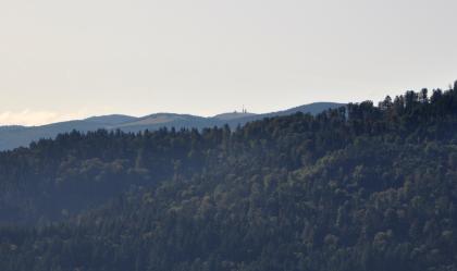 Blick vom Schlossbergturm nach Südosten zum Feldberggipfel Blick auf leicht nach rechts ansteigende Bergwälder. Im Hintergrund sind höhere, zum Teil kahle Bergrücken erkennbar.