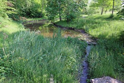 Der junge Neckar im Stadtpark an der Möglingshöhe in Schwenningen Blick auf ein schmales Rinnsal, das zum Hintergrund hin einen kurvigen Verlauf nimmt und sich dabei verbreitert. Die flachen bis leicht ansteigenden Ufer des Gewässers bestehen aus Gras, Schilf und Bäumen.