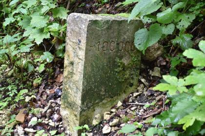 Wegmarke am Rulamanweg Blick auf einen stark verwitterten und bemoosten Steinquader. In den Stein, der zwischen Blattwerk und Geröll steht, ist die Zahl - 100 000 eingeschnitten.