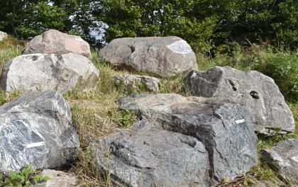 Gesteine des Schauinslandgebiets am Erzkasten-Rundweg Das Foto zeigt eine Ansammlung großer Gesteinsstücke. Die unterschiedlich gefärbten und geformten Brocken liegen treppenartig aufgereiht im Gras vor Bäumen im Hintergrund.