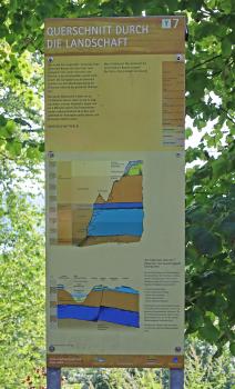 Blick auf eine aufrecht stehende Infotafel mit Erklärungen zur Molasse auf dem Geologischen Lehrpfad Sipplingen. Zwei untereinander aufgezeichnete farbige Querschnitte der Landschaften um Sipplingen ergänzen die Tafel.