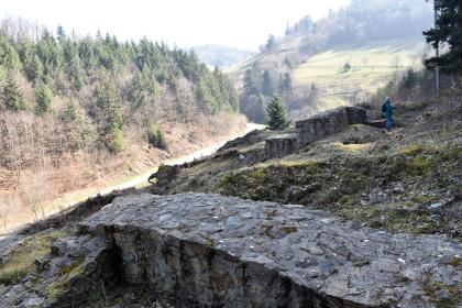 Mauerreste der früheren Birchiburg am bergbauhistorischen Lehrpfad Birkenberg bei Bollschweil-St. Ulrich Blick auf blaugraue, flache bis halbhohe Mauerreste, die sich längs und quer über einen Waldhang verteilen. Der Hang fällt nach links hin stark ab. Links im Hintergrund steigt ein bewaldeter Gegenhang auf.