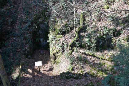 Reste eines ehem. Abbau-Schachts am bergbauhistorischen Lehrpfad Birkenberg bei Bollschweil-St. Ulrich Blick von erhöhtem Standort auf einen stark bewachsenen, steilen Waldhang. Links befindet sich eine schattige Felsnische. Davor steht eine kleine Schautafel.