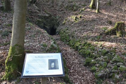Stollenmundloch am bergbauhistorischen Lehrpfad Birkenberg bei Bollschweil-St. Ulrich Blick auf eine links hinten befindliche, höhlenartige Bodenvertiefung in lichtem Wald. Zum Vordergrund hin liegen Reihen kleiner bemooster Felsstücke auf dem Waldboden. Rechts davon steht eine Schautafel.